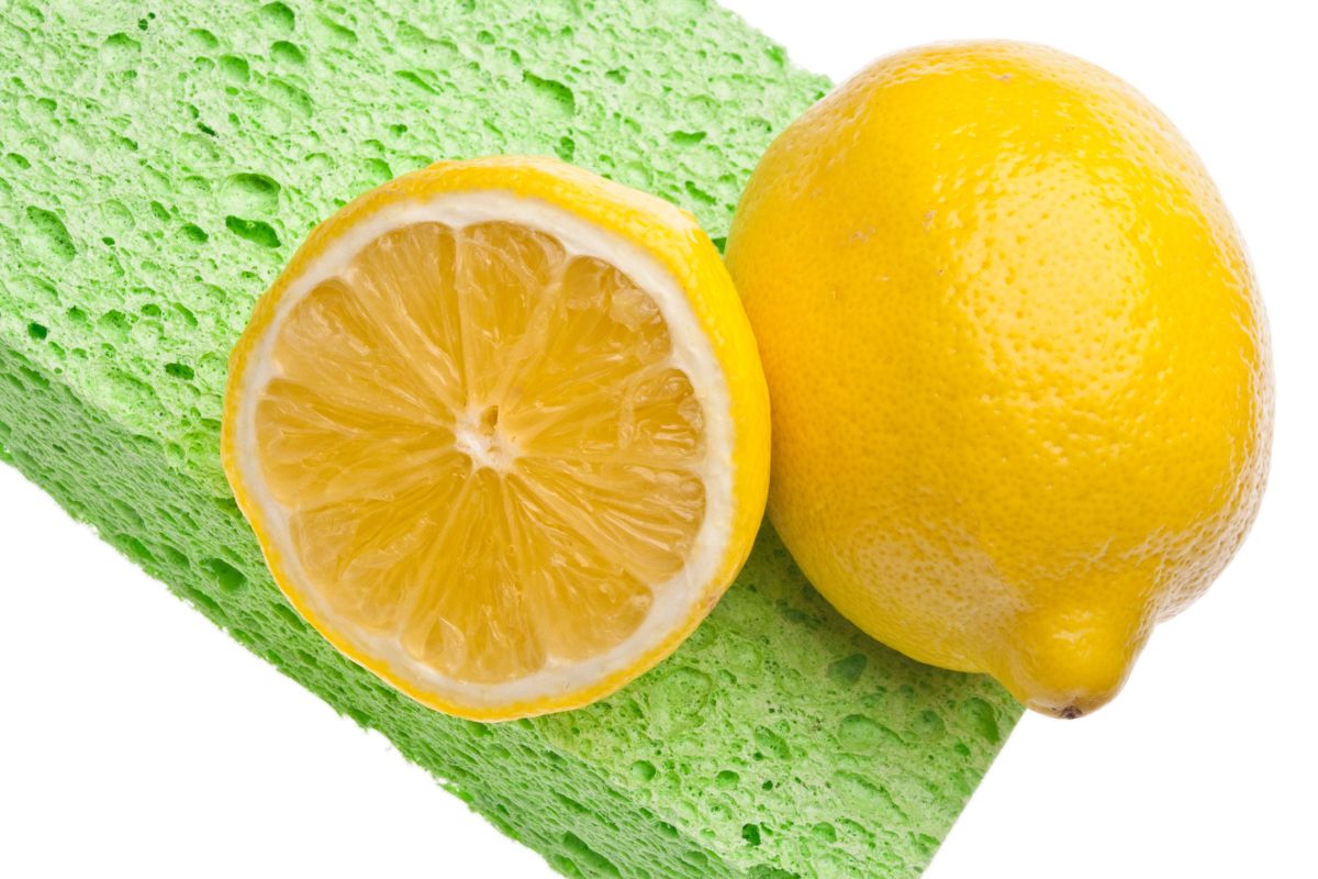 limone auto